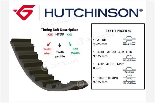 Hutchinson 146 HTD 24