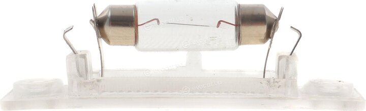 Rotweiss RWS1377