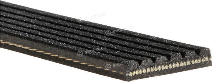 Gates 6PK1843XS