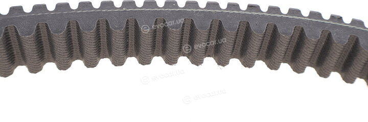 Dayco XTX2243