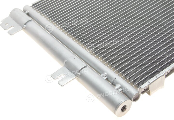 Van Wezel 37005366
