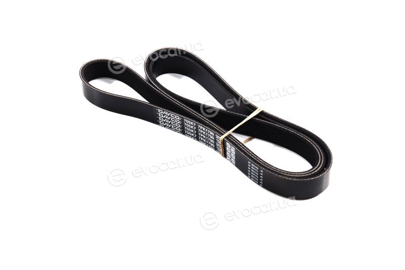 Dayco 7PK1790