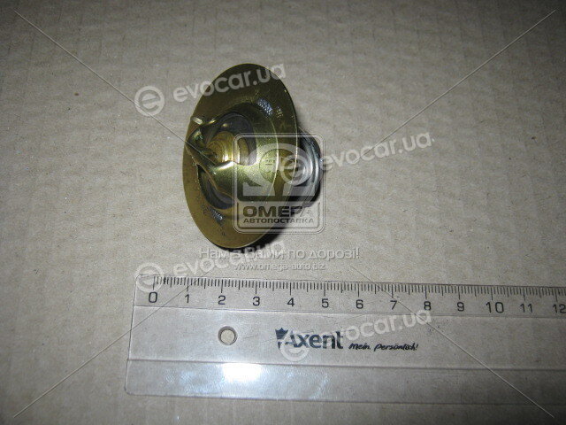 Wahler / BorgWarner 3119.88