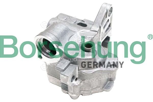 Borsehung B11909