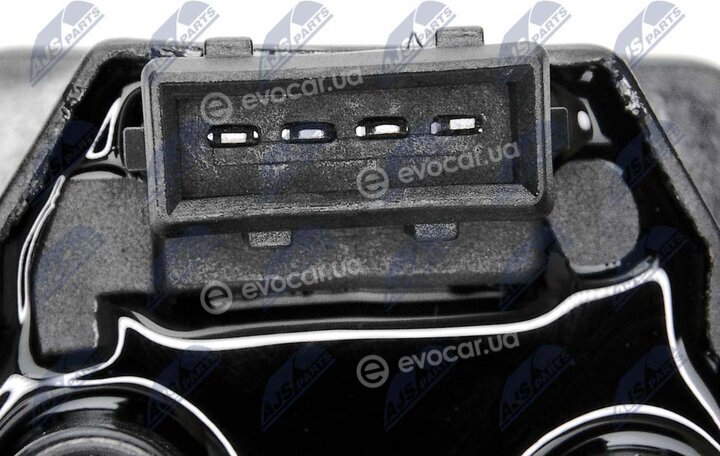 NTY ECZ-CT-001