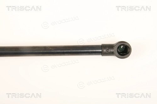 Triscan 8710 28238
