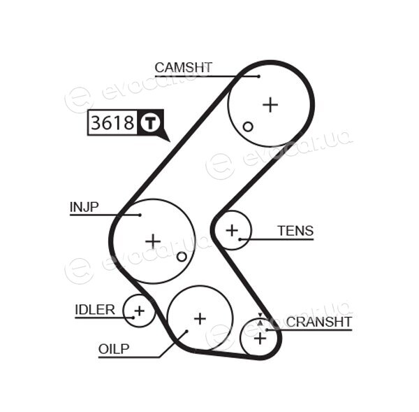 Gates K015563XS