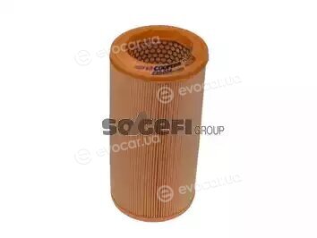Coopers Fiaam FL6787