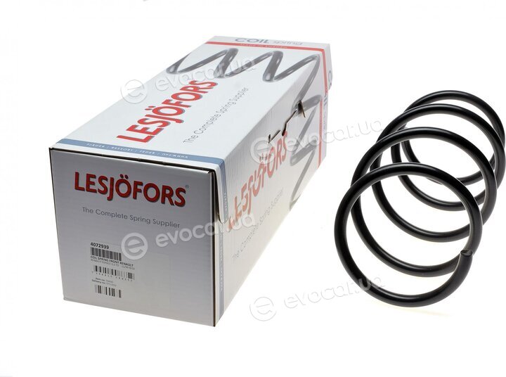 Lesjofors 4072939