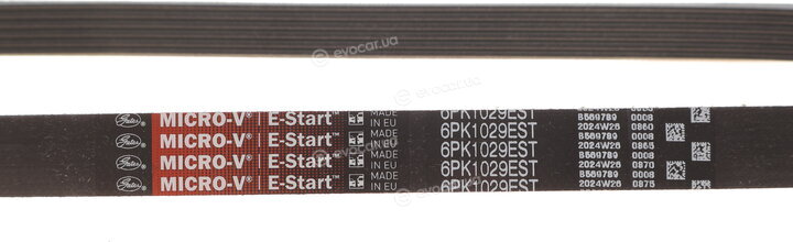 Gates 6PK1029EST