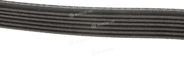 Gates 6PK1875