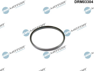 Dr. Motor DRM03304