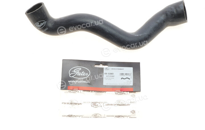 Gates 05-3265