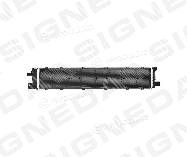 Signeda RA60355Q