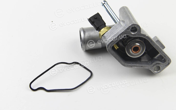 Motorad 541-92K