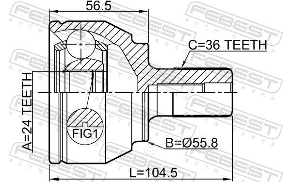 Febest 2110-FOCIIMT