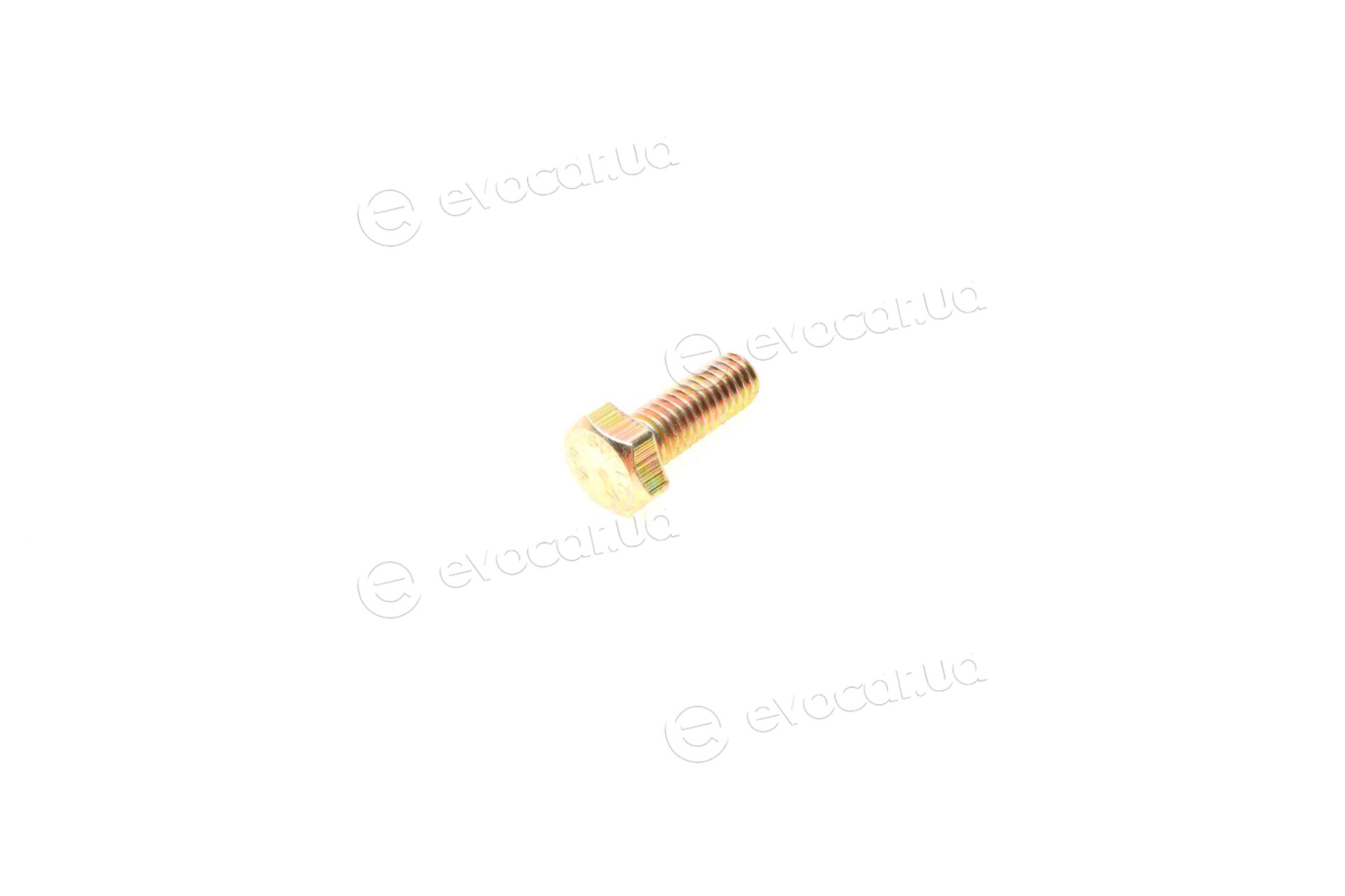 NRF 507594