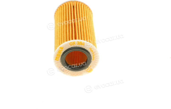 Mahle OX 384D