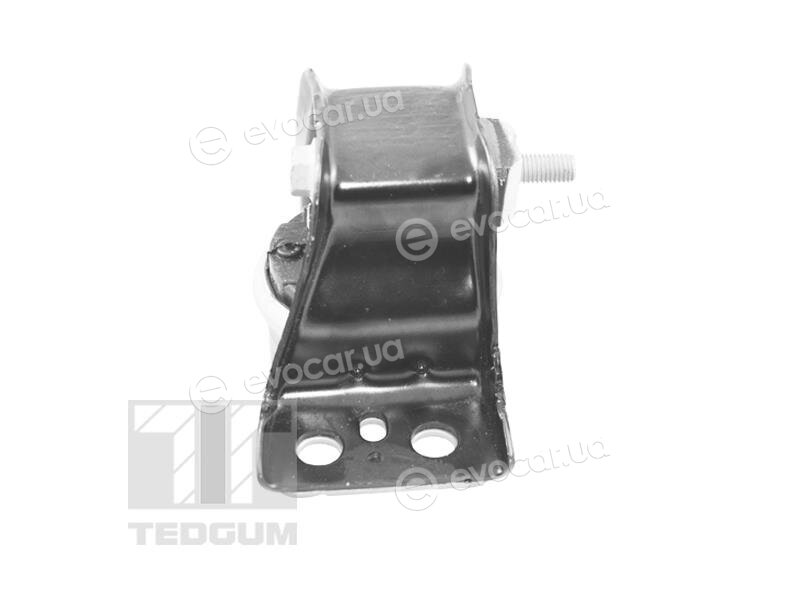 Tedgum TED84297