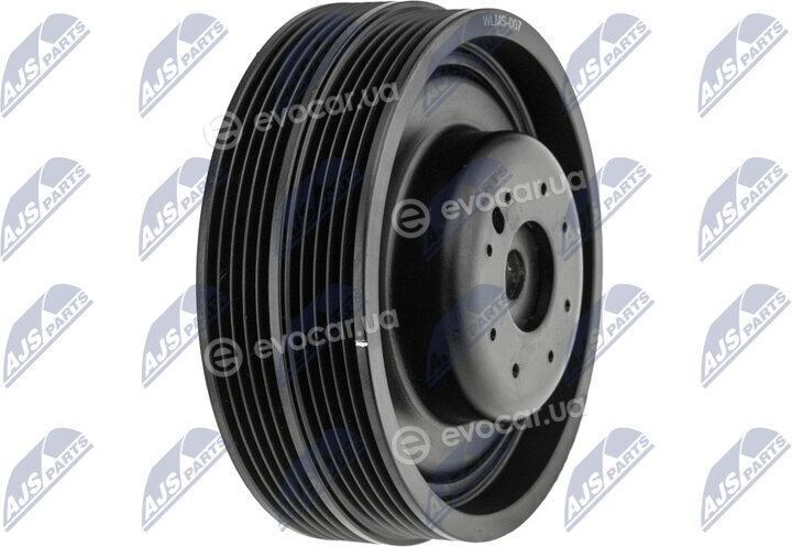 NTY RKP-MS-007