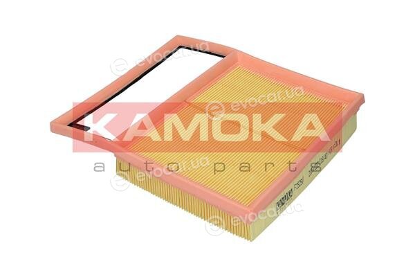 Kamoka F252901