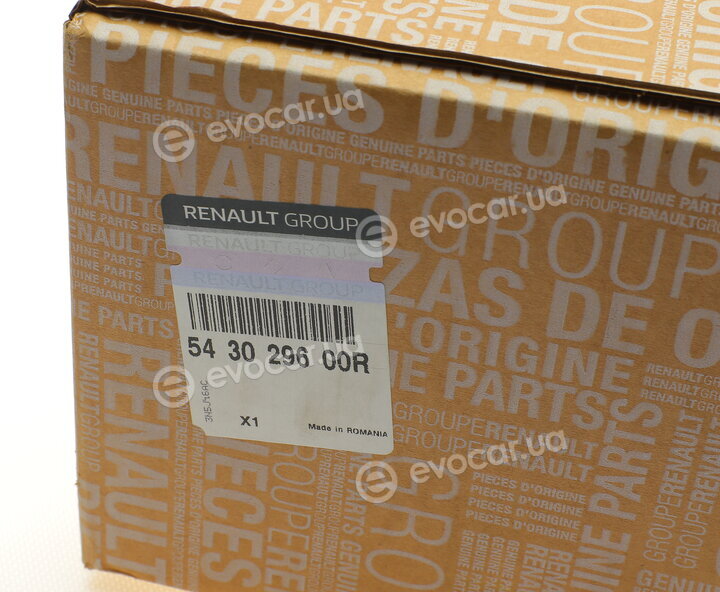 Renault / Nissan 543029600R