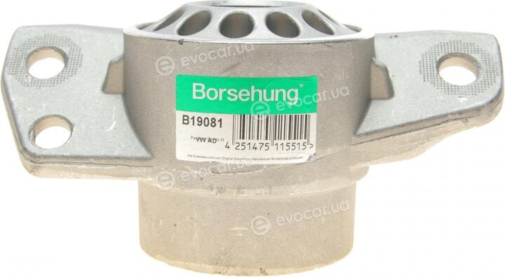 Borsehung B19081