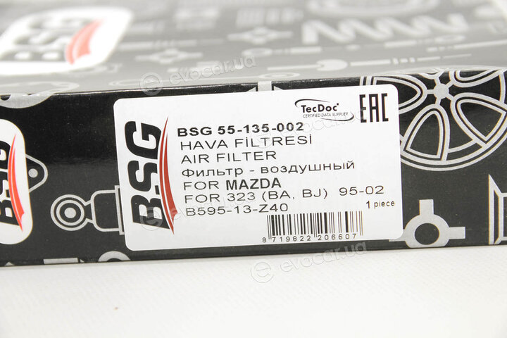 BSG BSG 55-135-002