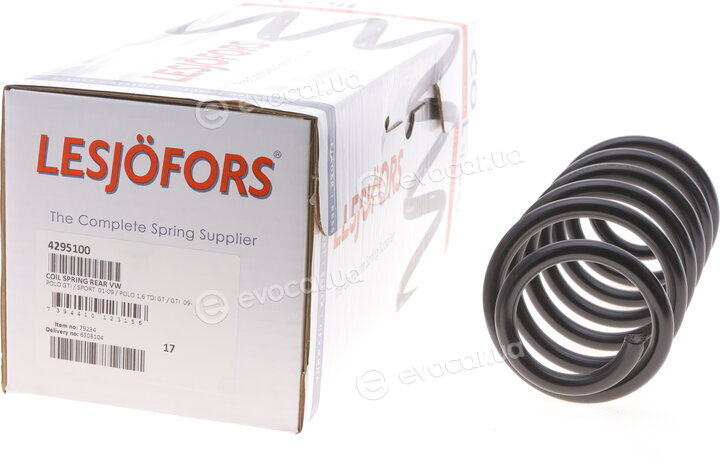 Lesjofors 4295100