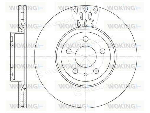 Woking D6316.10