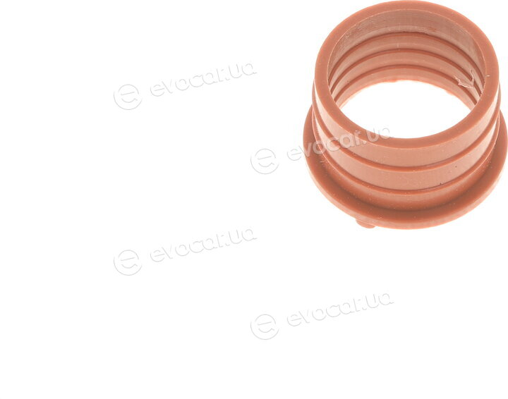 Solgy 113003