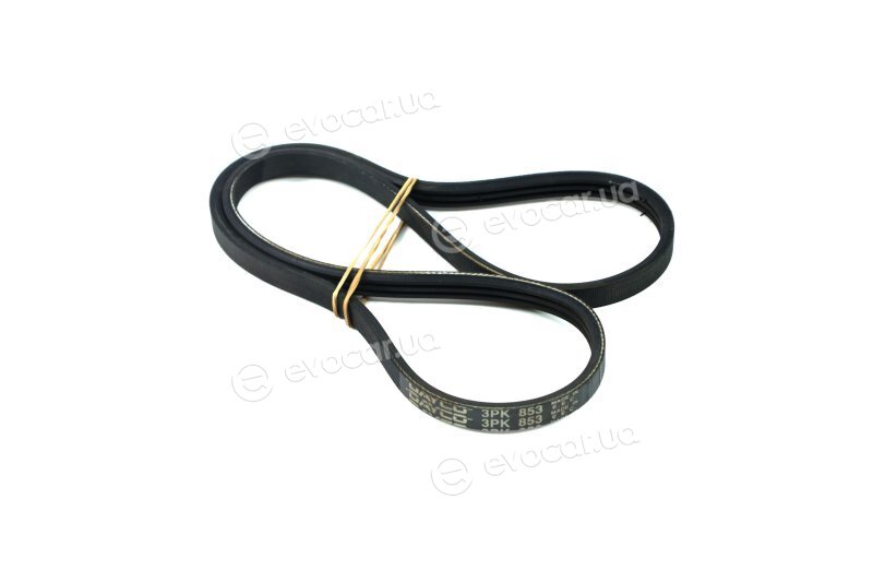 Dayco 3PK853