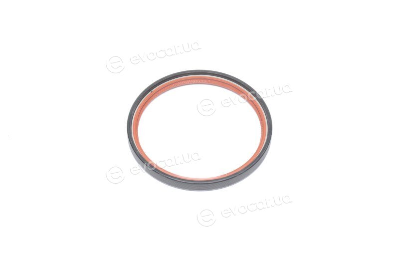 Elring 294.060