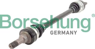 Borsehung B12491