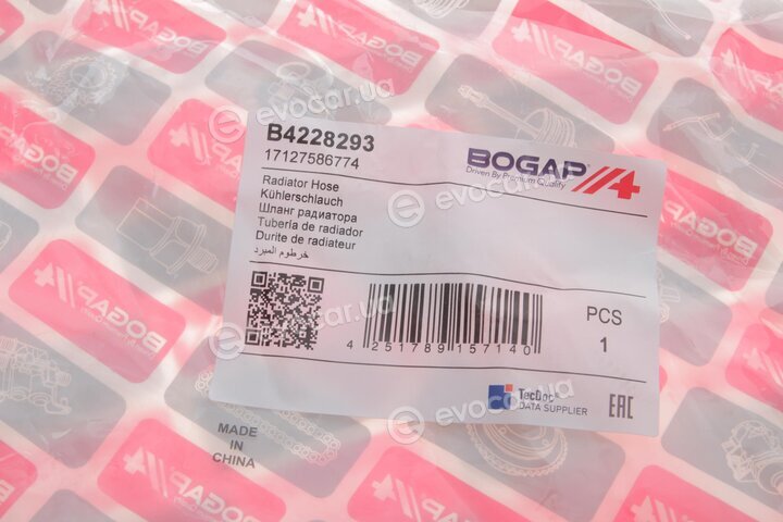 Bogap B4228293