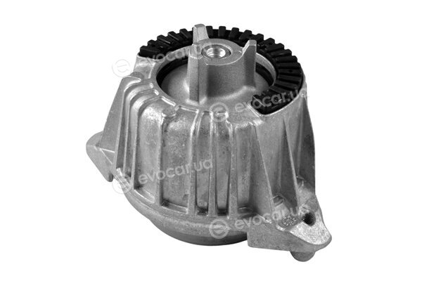Tedgum TED53841