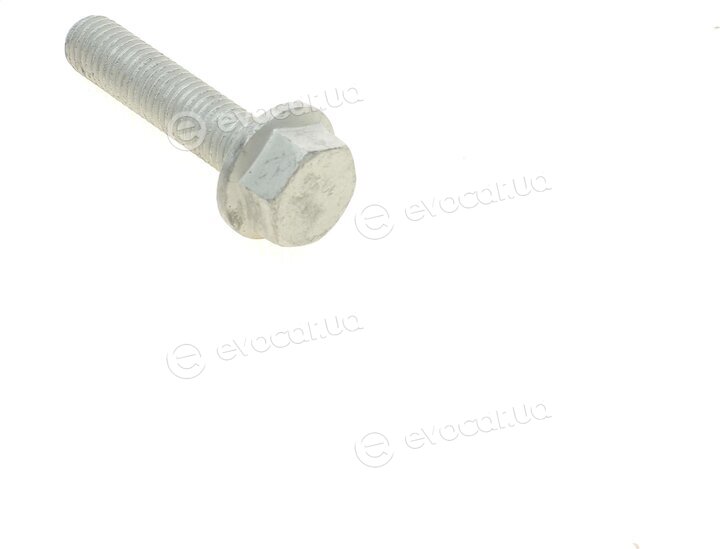 Continental CT1134WP1