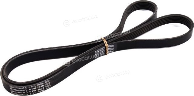 Continental 6PK1698