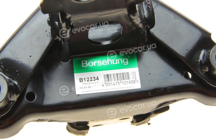 Borsehung B12234