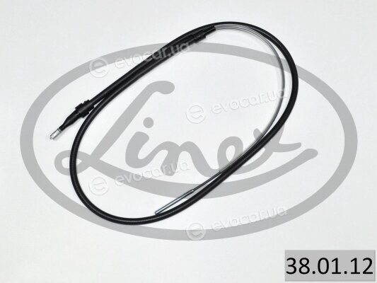 Linex 38.01.12