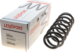 Lesjofors 4295136