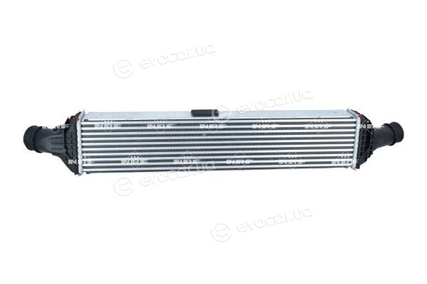 NRF 309101