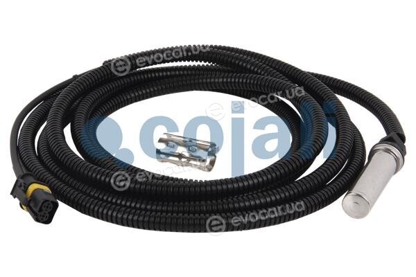 Cojali 2261146
