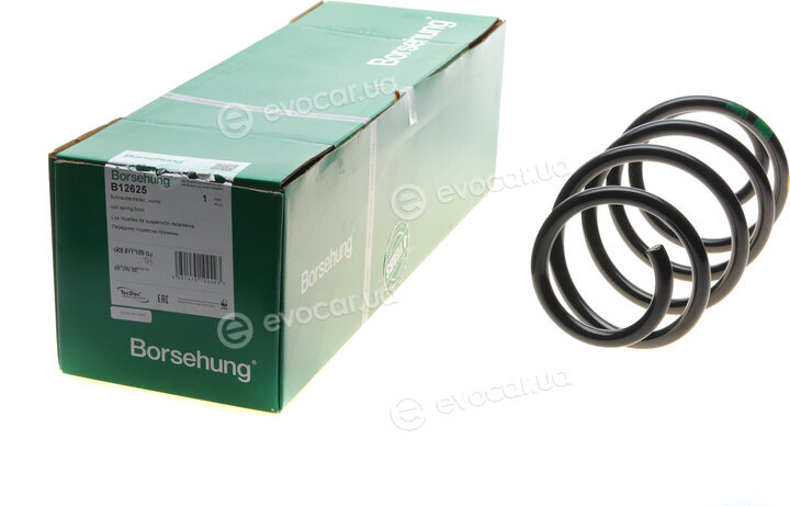 Borsehung B12625