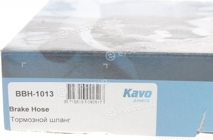 Kavo BBH-1013