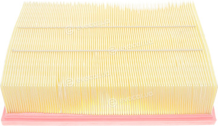 Solgy 103001