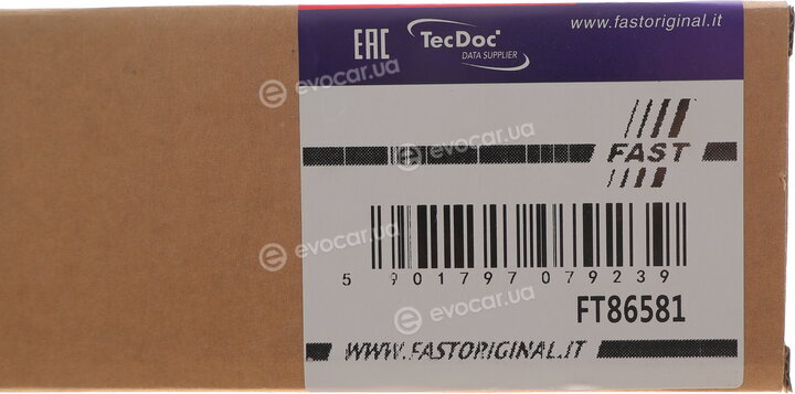 Fast FT86581