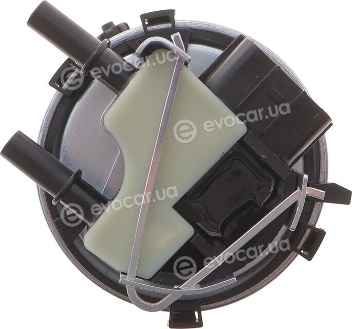 Solgy 102100