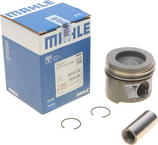 Mahle 021 PI 00124 000