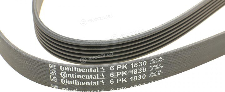 Continental 6PK1830